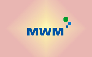 ✓ MWM 0337 3687 Запчасть MWM 